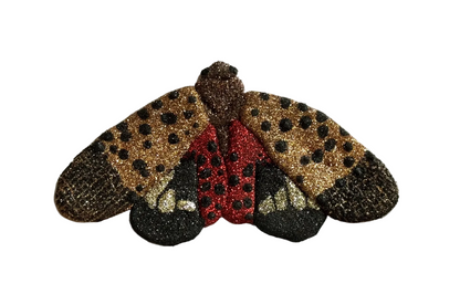 Glitter Lantern Fly